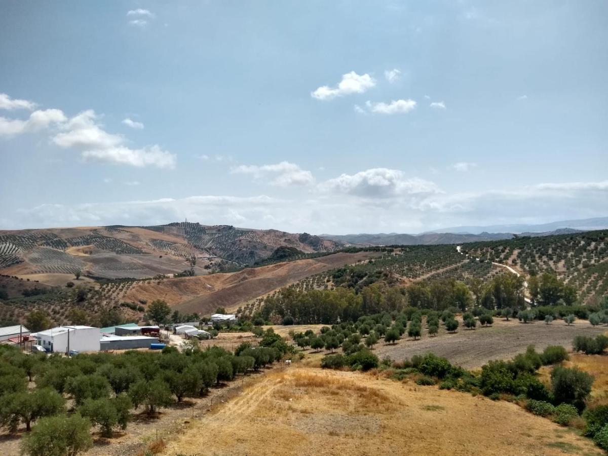 Apartamento Completo En Sierra Sur Villanueva de San Juan 外观 照片